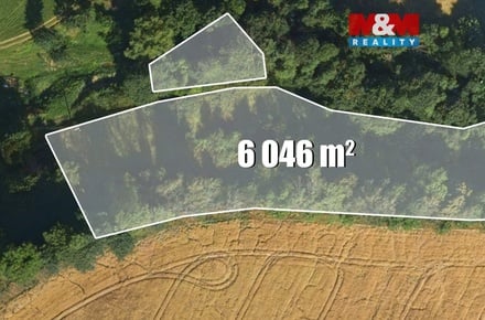 Prodej louky 6 046 m², Bílá