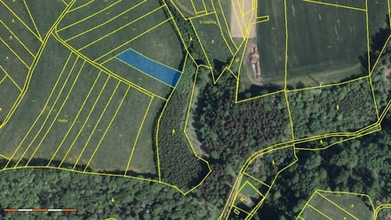 Prodej pole 6 643 m², Bezděkov nad Metují