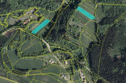 Prodej pole 6 643 m², Bezděkov nad Metují