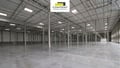 Pronájem výrobního prostoru 13 000 m², Přehýšov