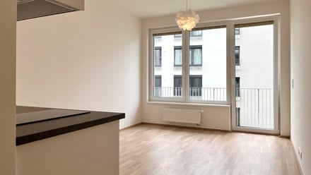 Pronájem bytu 1+kk 24 m², Praha - Libeň
