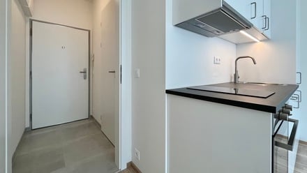Pronájem bytu 1+kk 24 m², Praha - Libeň