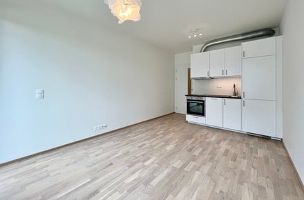 Pronájem bytu 1+kk 24 m², Praha - Libeň