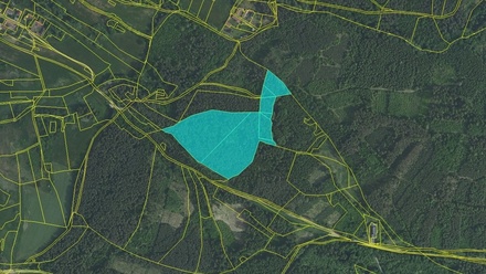 Prodej lesa 40 085 m², Kozárovice - Vystrkov
