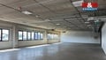 Pronájem obchodního prostoru 829 m², Nupaky