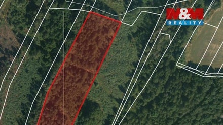 Prodej lesa 32 765 m², Libín