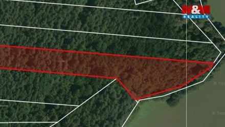 Prodej lesa 32 765 m², Libín