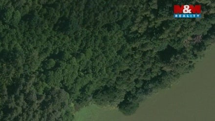 Prodej lesa 32 765 m², Libín