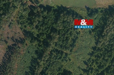 Prodej lesa 32 765 m², Libín