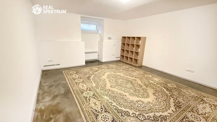 Pronájem bytu 1+1 45 m², Brno - Ponava