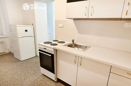 Pronájem bytu 1+1 45 m², Brno - Ponava
