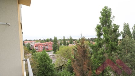 Prodej bytu 1+kk 20 m², Říčany