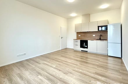 Pronájem bytu 2+kk 47 m², Praha - Libeň