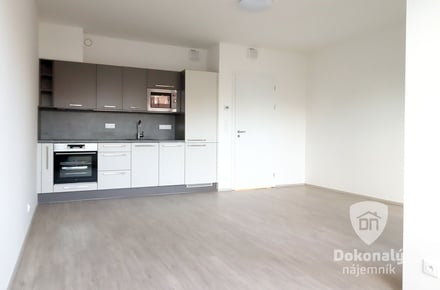 Pronájem bytu 1+kk 34 m², Praha - Holešovice