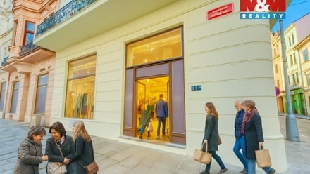 Pronájem obchodního prostoru 227 m², Plzeň 3