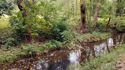 Prodej louky 1 741 m², Bystřice