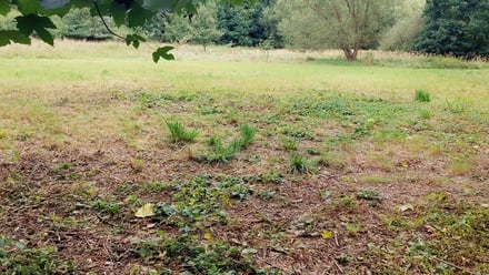 Prodej louky 1 741 m², Bystřice