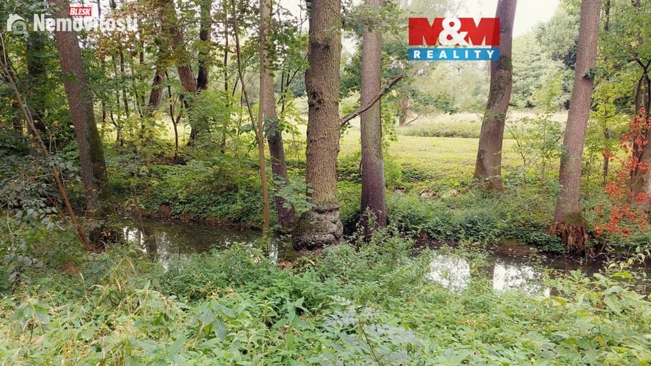 Prodej louky 1 741 m², Bystřice