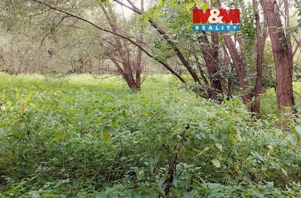 Prodej louky 682 m², Bystřice