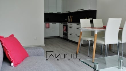 Pronájem bytu 2+kk 47 m², Ostrava