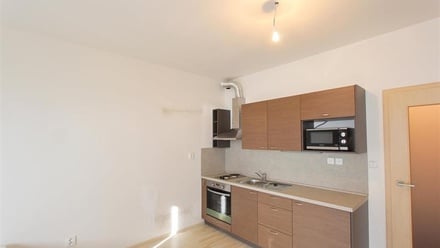 Pronájem bytu 1+kk 28 m², Brno-Líšeň