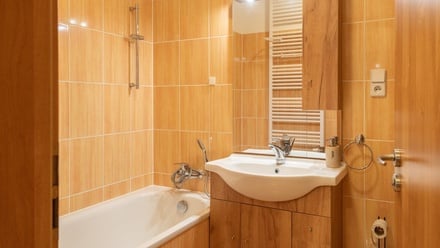 Pronájem bytu 2+kk 72 m², Brno - Dolní Heršpice