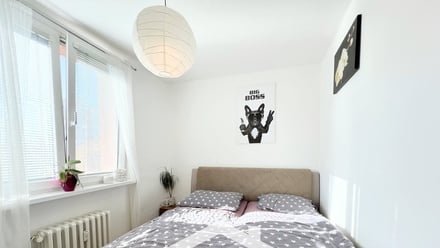 Pronájem bytu 3+1 65 m², Havířov - Město