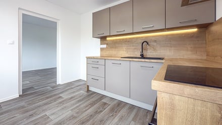 Pronájem bytu 3+1 62 m², Chomutov