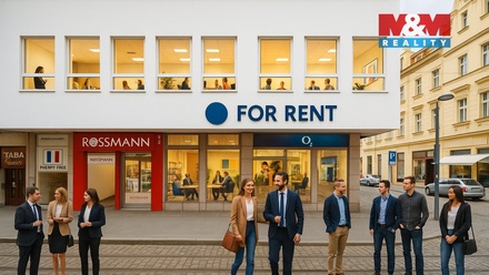 Pronájem obchodního prostoru 182 m², Plzeň 3