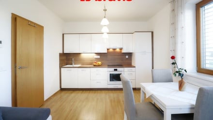 Pronájem bytu 2+kk 51 m², Brno - Sadová