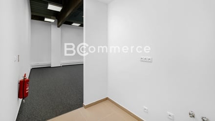 Pronájem výrobního prostoru 446 m², Brno