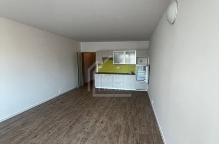 Pronájem bytu 1+kk 37 m², Praha - Vršovice