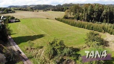 Prodej stavebního pozemku 1 000 m², Borovnice