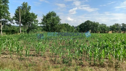 Prodej komerčního pozemku 20 005 m², Havlíčkův Brod