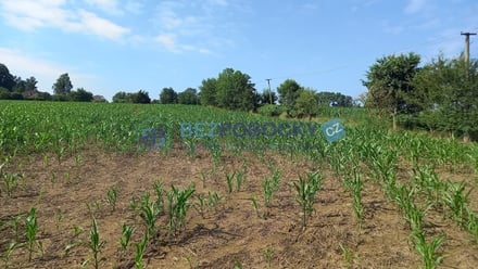 Prodej komerčního pozemku 20 005 m², Havlíčkův Brod