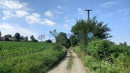 Prodej komerčního pozemku 20 005 m², Havlíčkův Brod