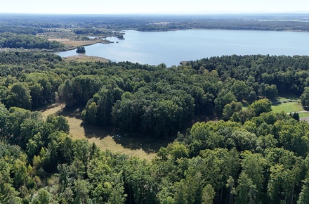Prodej pole 12 377 m², Třeboň - Stará Hlína