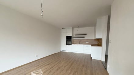 Pronájem bytu 2+kk 61 m², Plzeň - Východní Předměstí