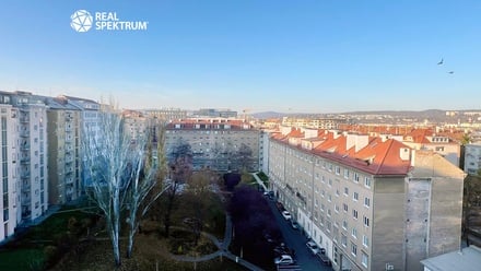 Pronájem bytu 1+1 45 m², Brno - Veveří