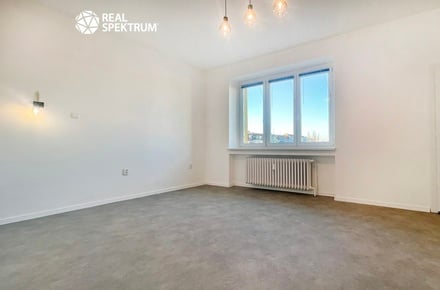 Pronájem bytu 1+1 45 m², Brno - Veveří