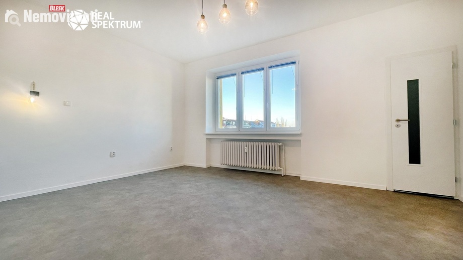 Pronájem bytu 1+1 45 m², Brno - Veveří