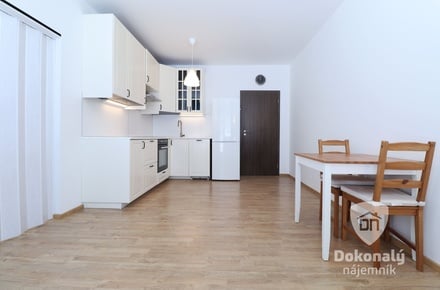 Pronájem bytu 2+kk 43 m², Praha - Střížkov