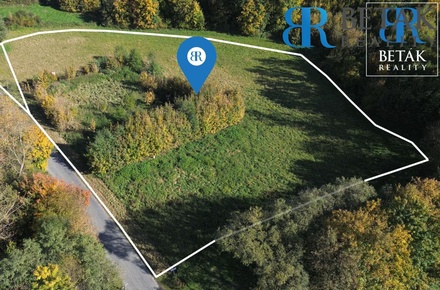 Prodej stavebního pozemku 14 217 m², Přerov VII-Čekyně