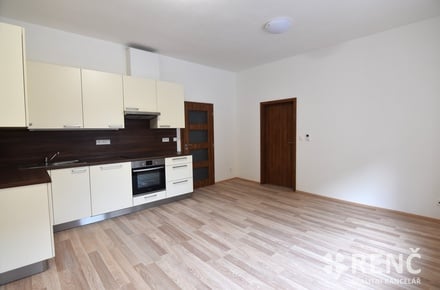 Pronájem bytu 3+kk 58 m², Brno - Líšeň