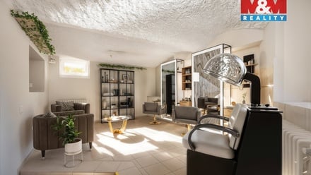 Prodej obchodního prostoru 53 m², Liberec (nečleněné město)