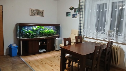 Pronájem rodinného domu 130 m², Bělčice