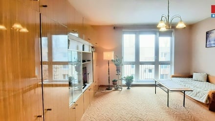 Prodej bytu 3+1 55 m², Hodonín