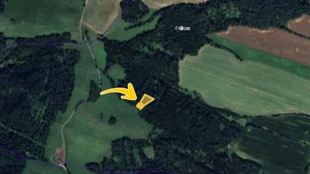 Prodej lesa 1 929 m², Rovensko