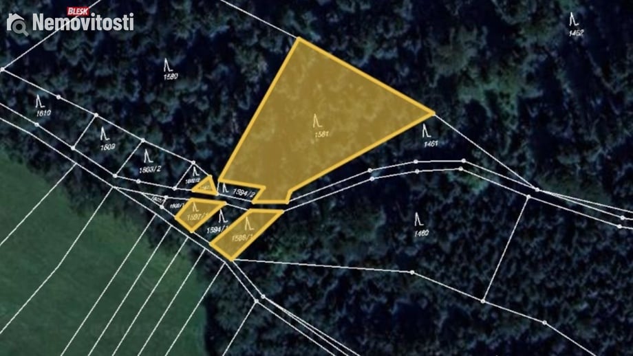 Prodej lesa 1 929 m², Rovensko