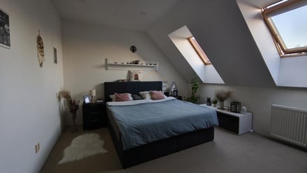 Prodej rodinného domu 300 m², Hřivčice